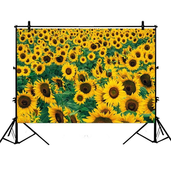 Nature 8x10 FT Photo Backdrops,Floral Print with Sunflowers in a Field Summer Garden Sketchy Abstract Detail Image Background for Child Baby Shower Photo Vinyl Studio Prop Photobooth Photoshoot Nature 8x10 FT Photo Backdrops,Floral Print with Sunflowers in a Field Summer Garden Sketchy Abstract Detail Image Background for Child Baby Shower Photo Vinyl Studio Prop Photobooth Photoshoot